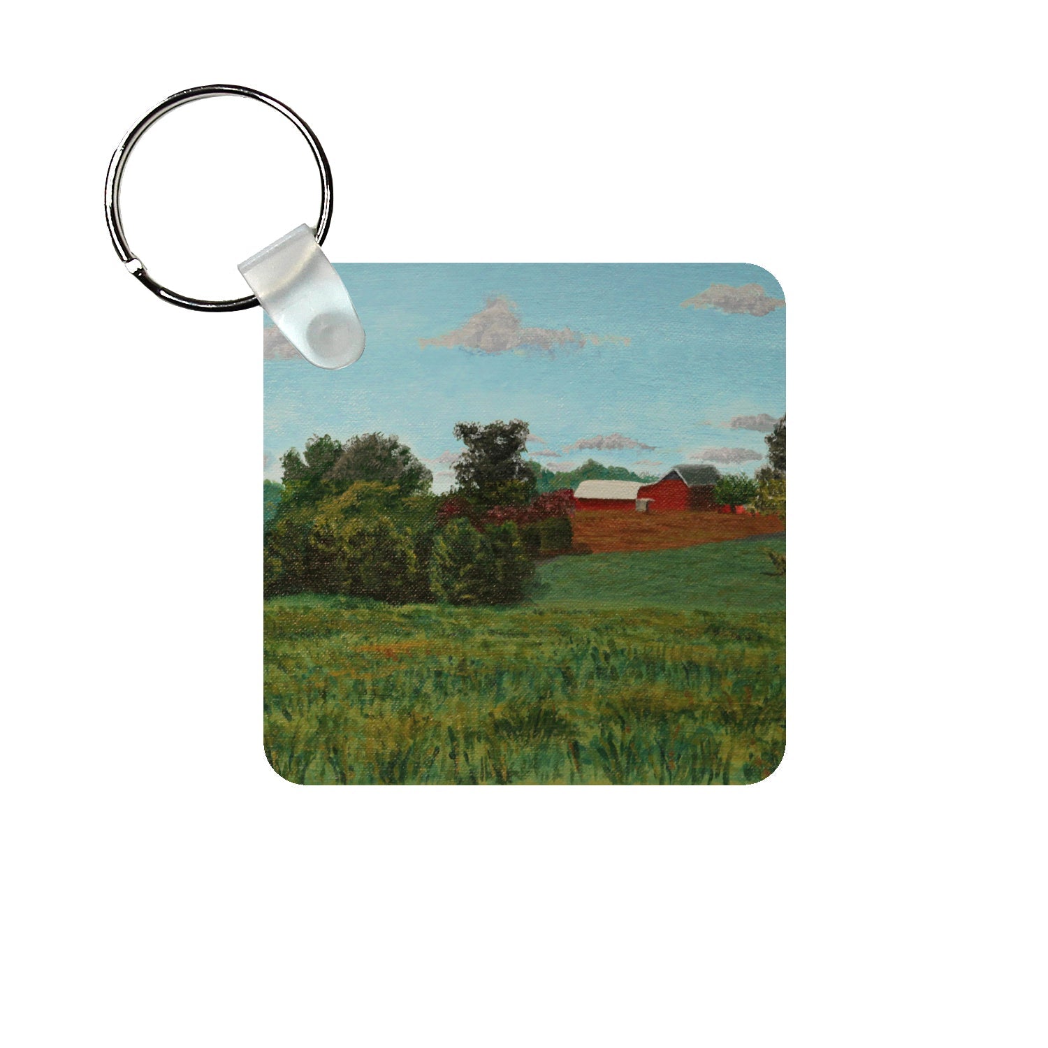 View from Woodstown-Daretown Road Keychain