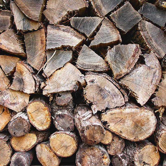 Seasoned Firewood